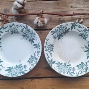 2 Assiettes creuses Anémone - Société Amandinoise