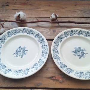 Lot de 2 assiettes Longwy - Série Russe
