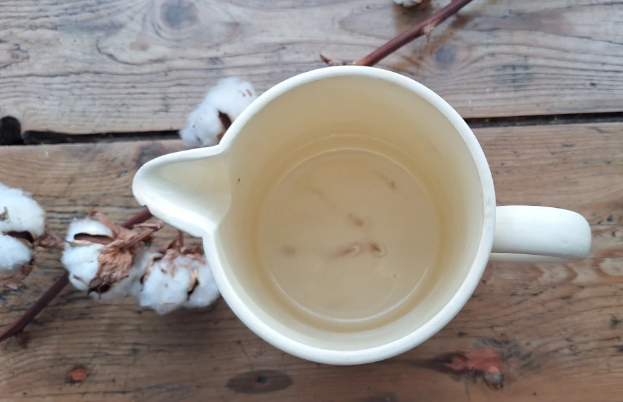 Pichet Digoin Sarreguemines - Années 1950 Dessus