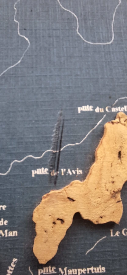 Tableau cartographique en relief liège et teck - Côte méditerranéenne du Var (BLX de l’Isle n°2386) accros